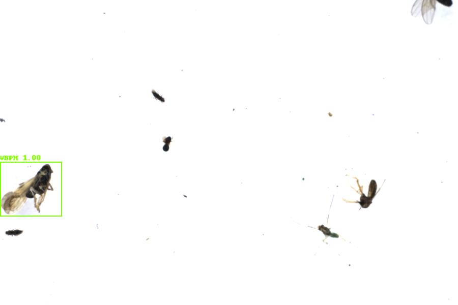 Image 70